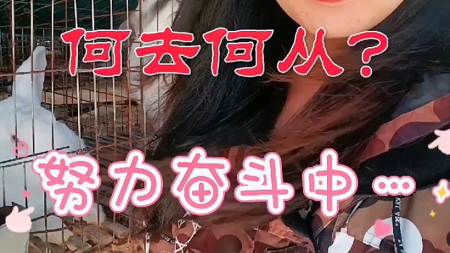 新手养兔，何去何从？我们就来聊一下，希望可以帮助到大家。#永圆养兔合作社