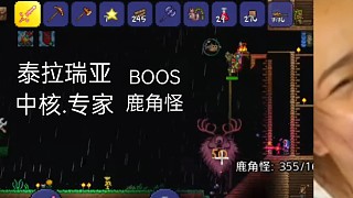 泰拉瑞亞開(kāi)荒中核專家倆兄弟