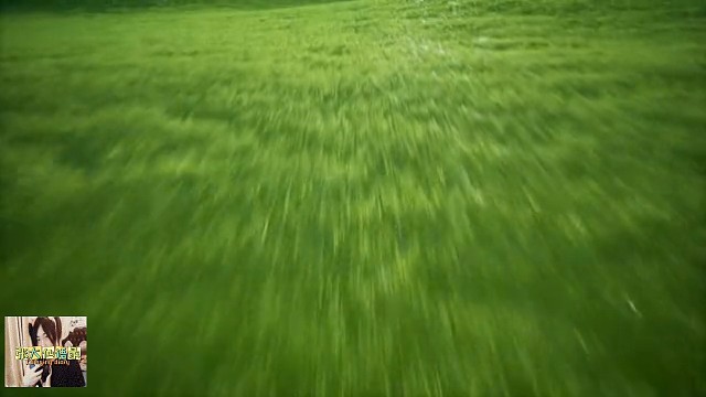 喜欢上一个不可能的人会怎样？