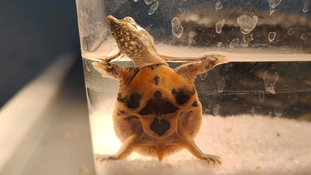 原来这首歌前奏是这样的(˃⌑˂ഃ)