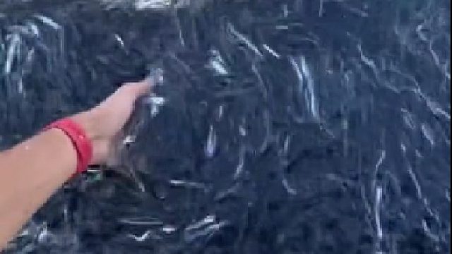 好怕一张深渊巨口突然出现