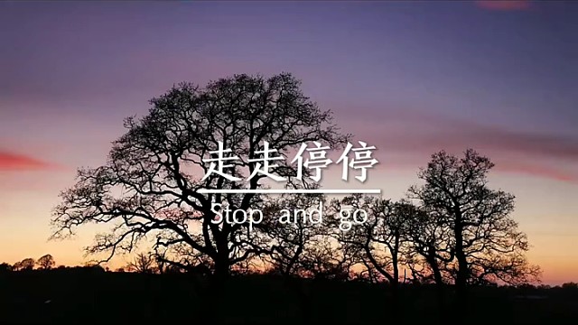 走走停停，半生已过