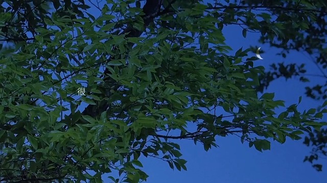 不必太纠结于当下，也不必太忧虑未来