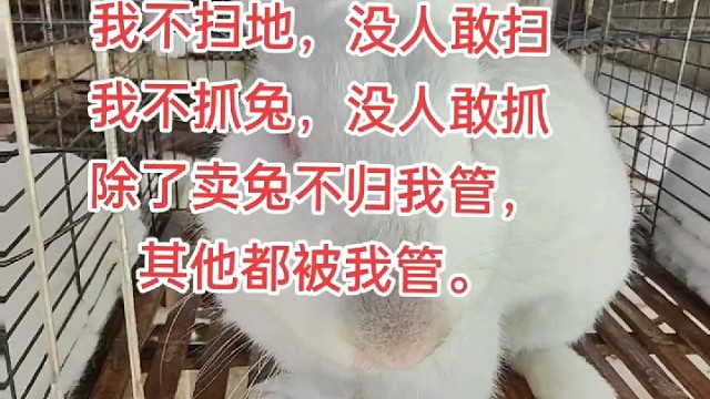 30岁的人，没文化，没靠山，没人帮，咋办呢！