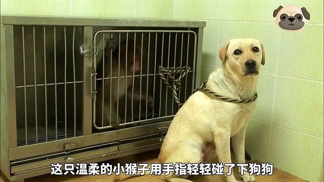 爱可以治愈一切