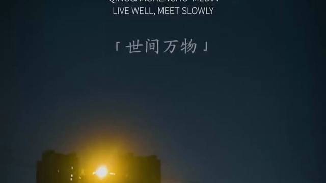 日常碎碎，世间万物