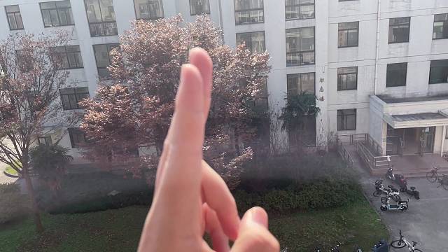 跑得进虚空，走不进心中