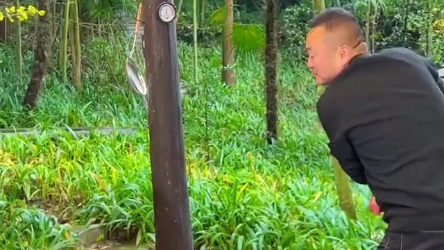 身体健康，万事如意，心想事成