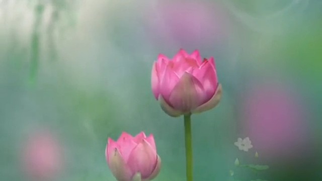 你要相信世界上总有一个人会义无反顾的爱你