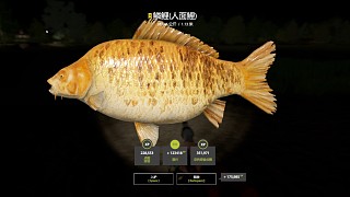 26圖琥珀湖–26K星鱗鯉人面（88星），N條19，終圓夢
