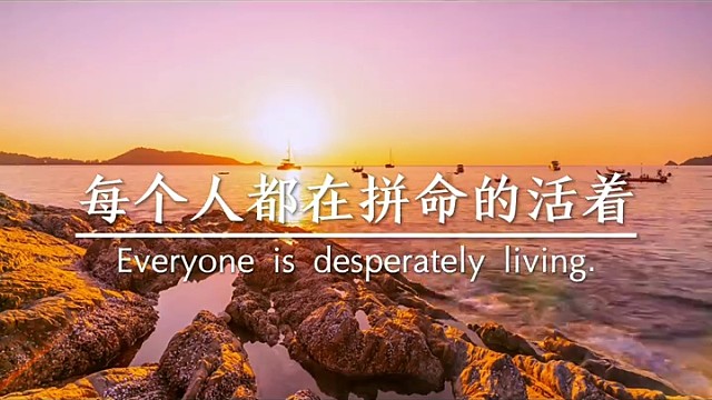 每个人都在拼命的活着
