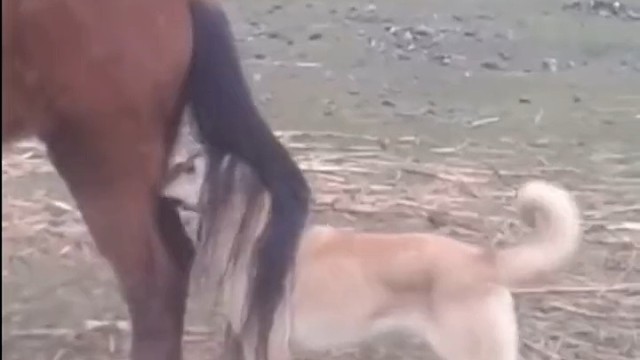 事实证明，融不进的圈子别硬挤！