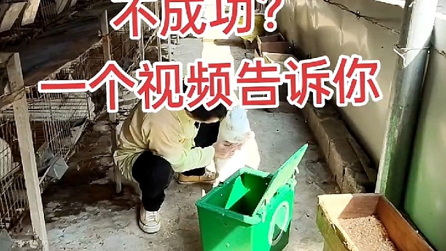 兔子很难养吗？是不是没师傅带。