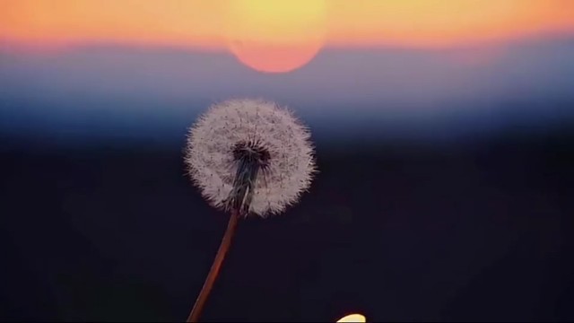 “在这个快餐式恋爱的时代中，真的有人把喜欢藏了好久好久”