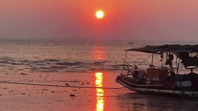 在我消失前，我希望有人能需要我