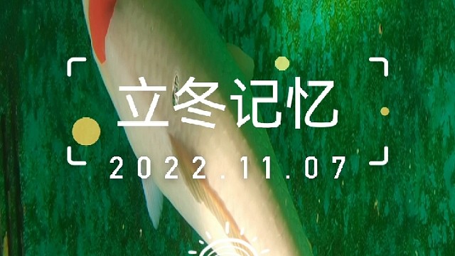 好运锦鲤，见者鸿运当头，步步高升，事事顺心，平安幸福！