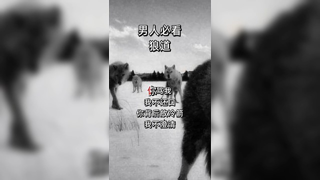 敬你不代表好欺负