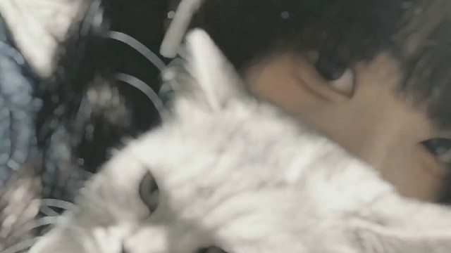 如果你握着我的真心说这是你致胜的筹码那我一定让你赢