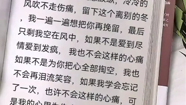 我以为留下来没有错，我以为努力过你会懂。