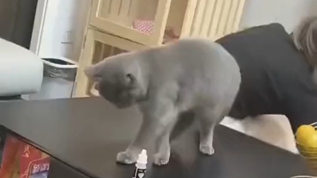 这家伙肯定很久没被挨打了