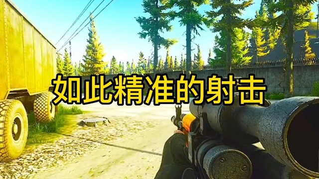 逃离塔科夫:如此精准的射击！