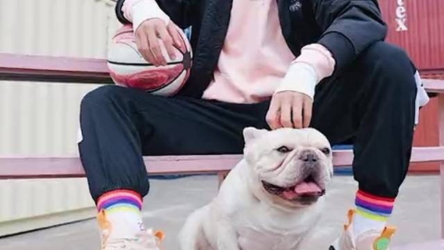 KT7-【斗牛犬】-双11预售

以ROCOO灵感KT7全新配色
