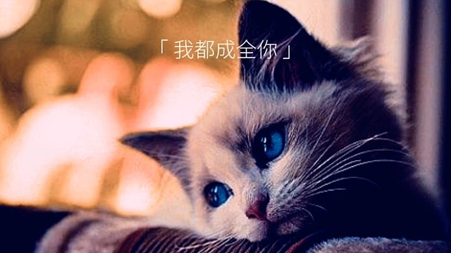 其实我什么都知道，只是不想去揭穿，你想要的，我都成全你