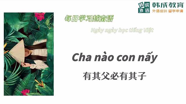 每日打卡越南语