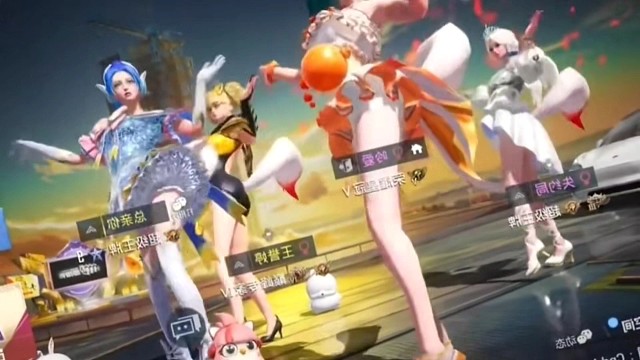 新人报到，请多多关照