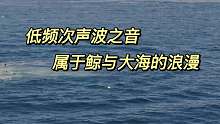 『音乐』鲸与大海空灵之音