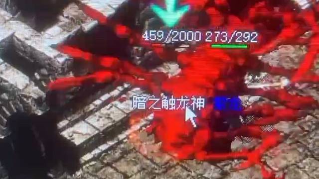 本区最后一条龙，都不赏个脸，哼