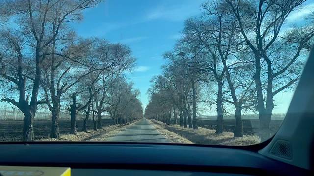 生活那么苦可还是要继续