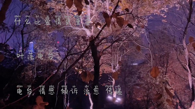 什么比爱情更重要