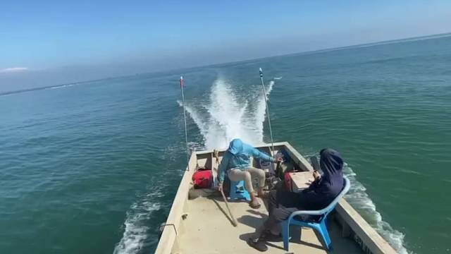 出海捕捉八爪鱼