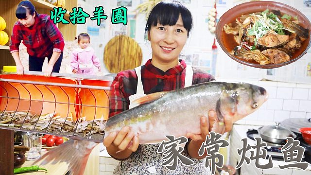 打扫完羊圈，再把准备好的草鱼腌上，翌日直接下锅炖，营养又入味