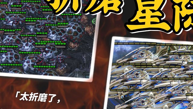 星际争霸！太折磨了！折磨星际vs黄金舰队！『小金讲星际10』