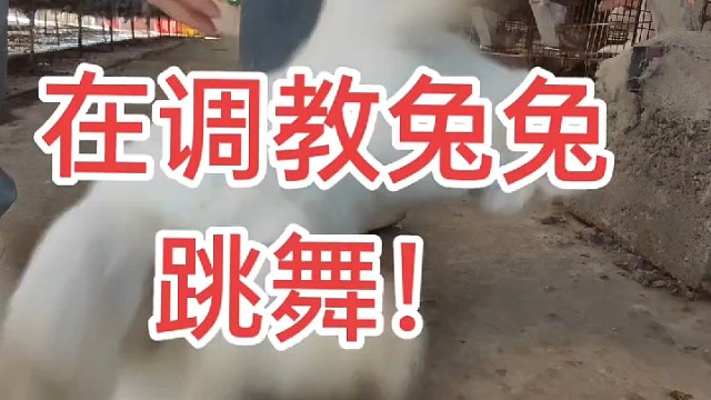 比狗狗难教，还咬我一口