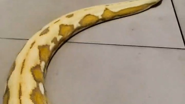 来来来目测一下多少米