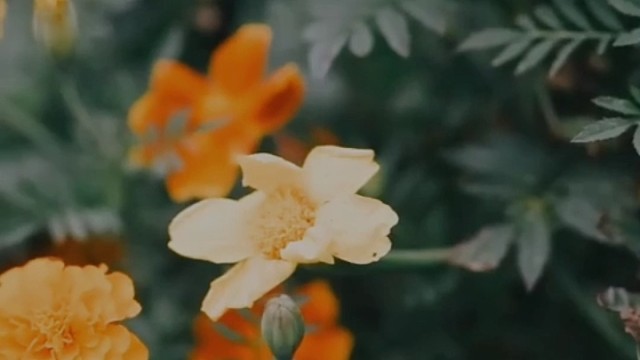 喊吧