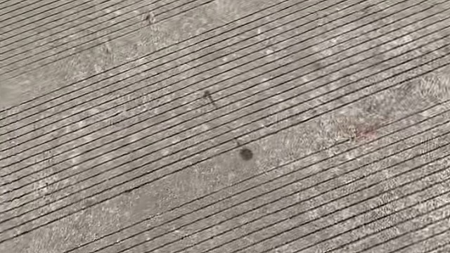 不不慌不忙真的可以吗？