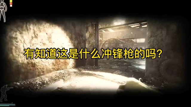 逃离塔科夫:有知道这是什么冲锋枪的吗？