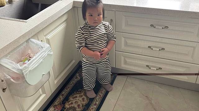 20个月的小斑马