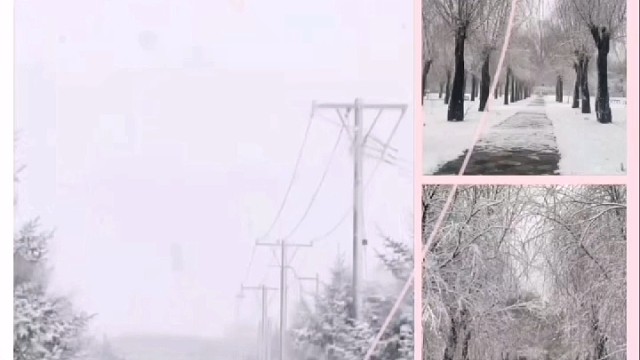 他朝若是同淋雪，此生也算共白头！美丽的雪景