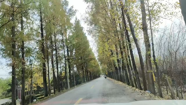 秋冬的风景真美