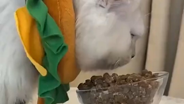 感觉不是一个层次的人