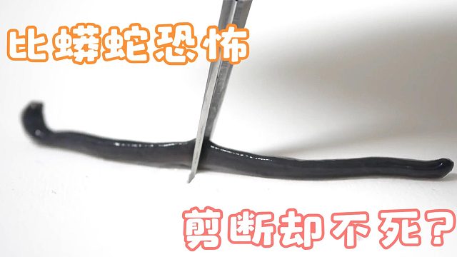 男子发现一根“金线”，却是比蛇更恐怖的生物，切断都不死