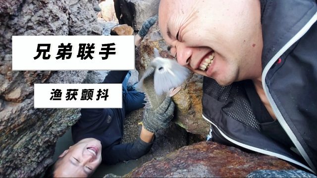 憨憨的阿峰就是大伙福星，每次都能抓到值钱靓货，这运气太赞了