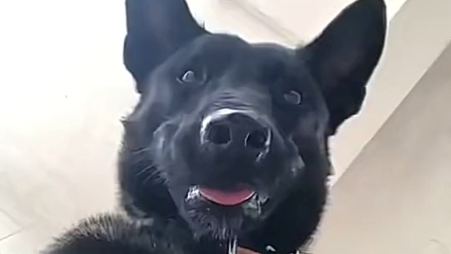 看主播跳舞时的你