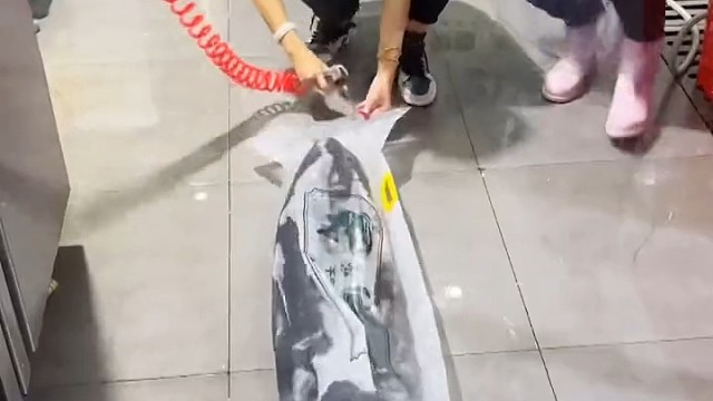 这种氧气袋成本是多少？