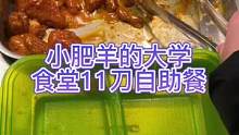 食堂師傅撒醬的時候是不是手抖了#轉(zhuǎn)轉(zhuǎn) #大學食堂 #美國大學#今天吃什么 #美食